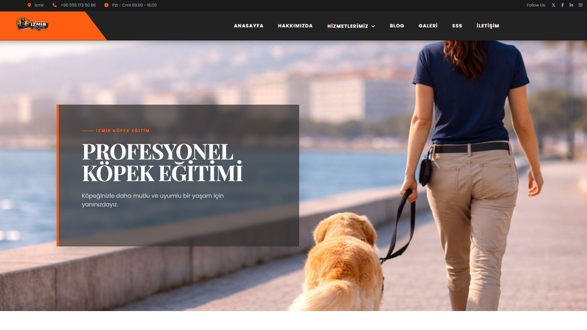 İzmir Köpek Eğitim